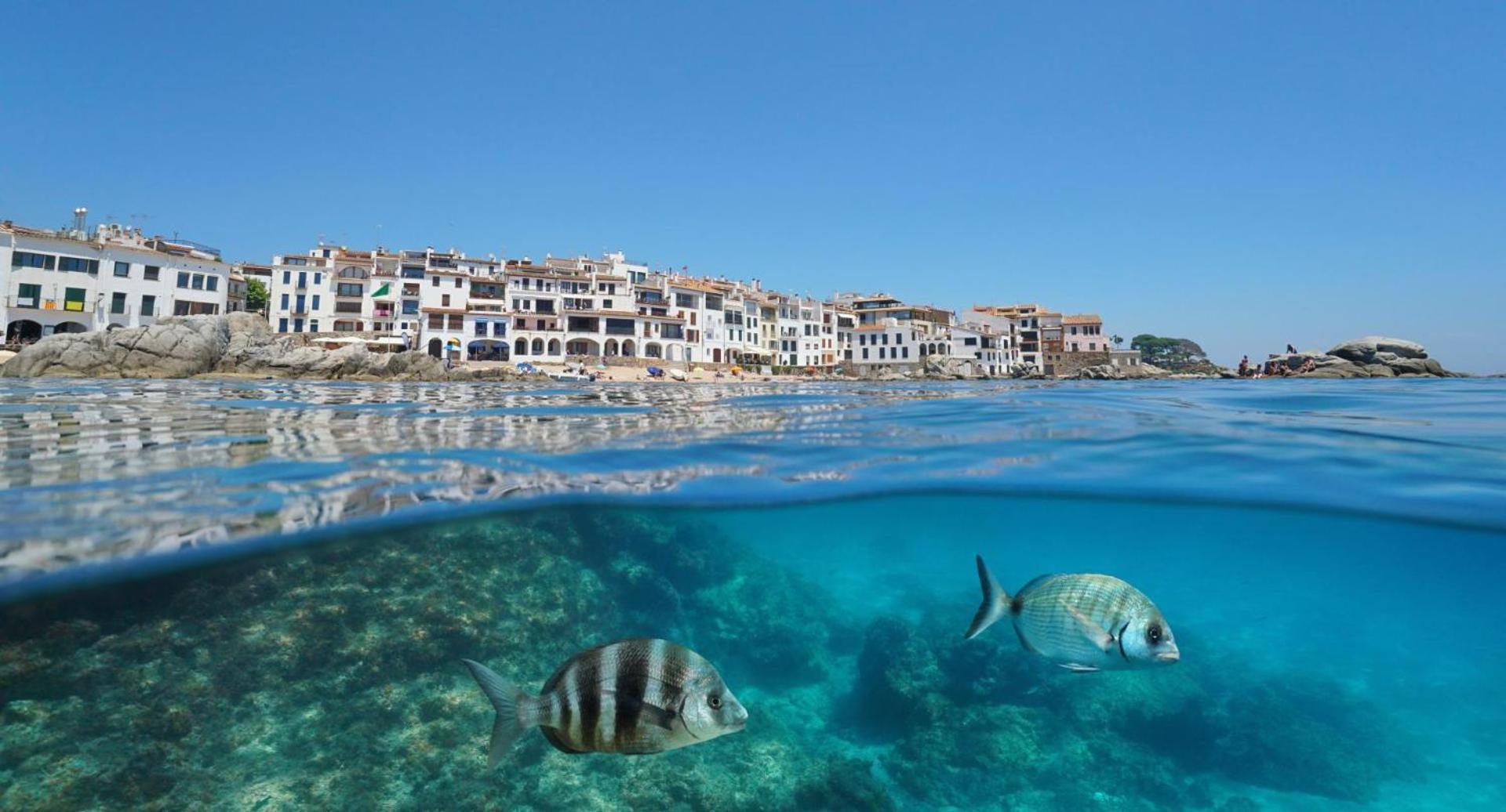Apartamento Recien Reformado A 300 Metros Del Mar Calella De Palafrugell Exteriér fotografie