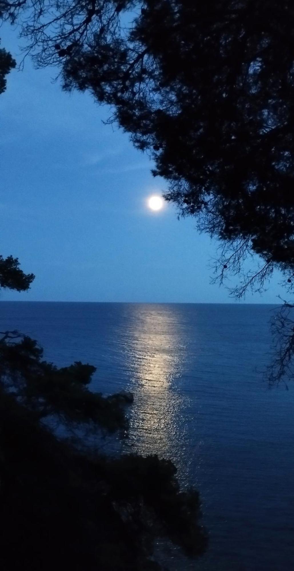 Apartamento Recien Reformado A 300 Metros Del Mar Calella De Palafrugell Exteriér fotografie