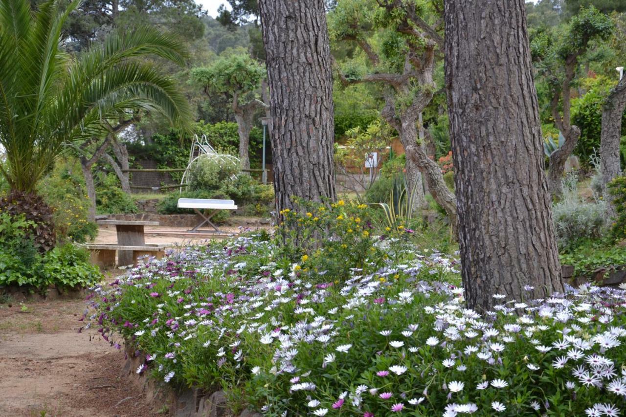 Apartamento Recien Reformado A 300 Metros Del Mar Calella De Palafrugell Exteriér fotografie