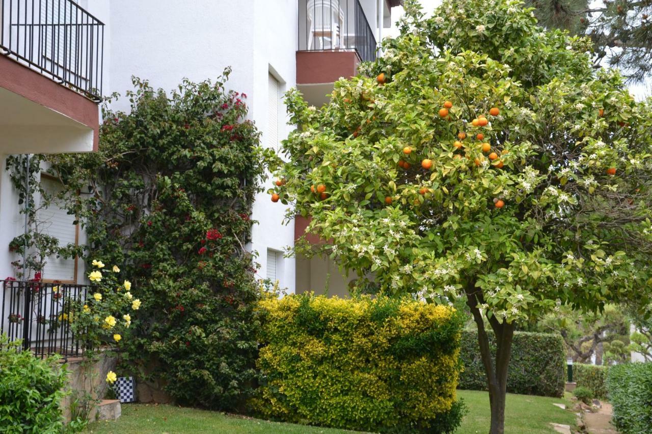 Apartamento Recien Reformado A 300 Metros Del Mar Calella De Palafrugell Exteriér fotografie