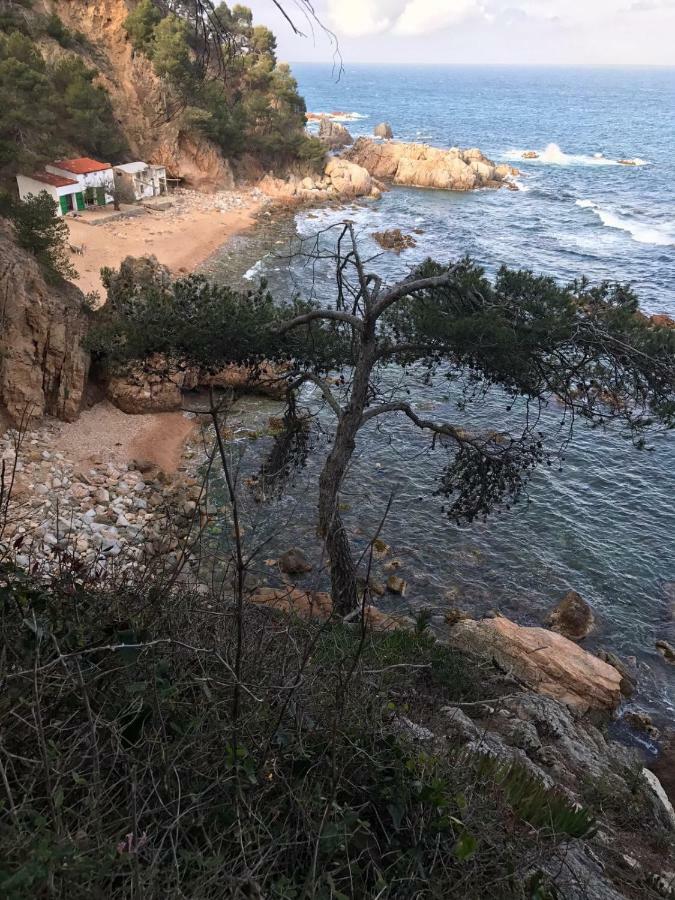 Apartamento Recien Reformado A 300 Metros Del Mar Calella De Palafrugell Exteriér fotografie